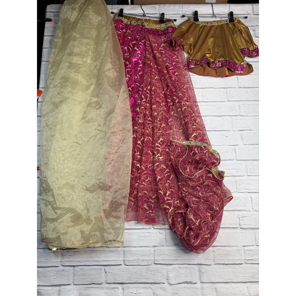 Chasing Fireflies Wishcraft Maharani Costume Girls 8 Pink Gold